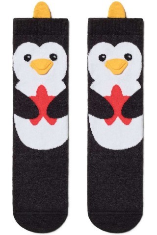 Гольфы детские Conte-kids Tip-top (045) 19С-141СП