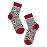 Носки детские Conte-kids Tip-top 5С-11СП (396)